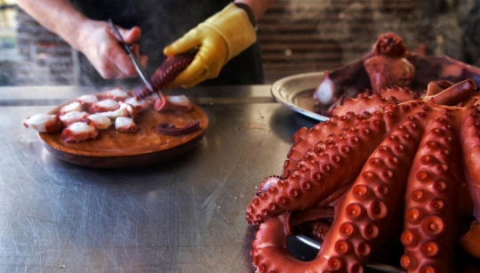 MESÓN DO PULPO GUINDIBOO